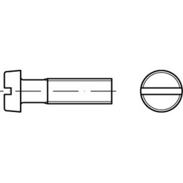 DIN84 Cilinderkopschroef met zaaggleuf Kunststof